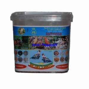 f5 re del canto per uccelli indigeni, spinus mangime