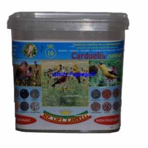 f10 re del canto pastone per spinus pastone