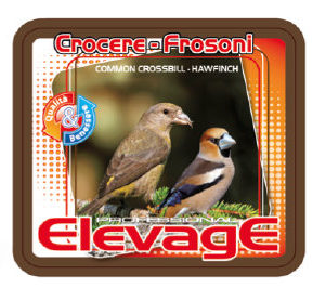 elevage miscela di mangime per crocere e frosoni