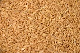avena decorticata per uccelli