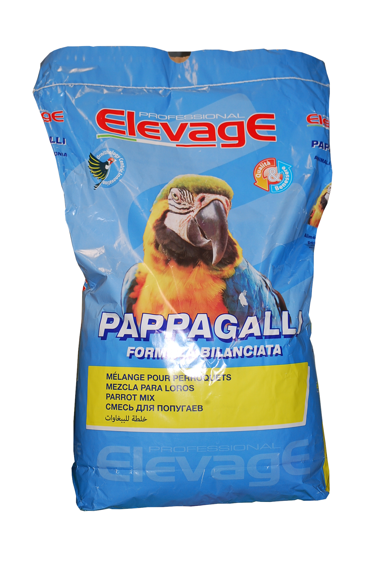 elevage pappagalli medium mangime per pappagalli media grande taglia
