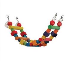 pappagalli scala gioco pappagalli