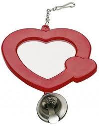 gioco pappagallini specchio cuore