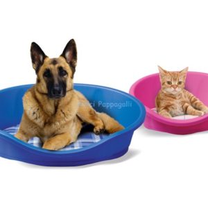 lettino dido cucce in plastica per cane e gatto imac