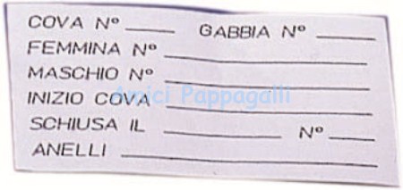 scheda per porta scheda magnetic, uccelli