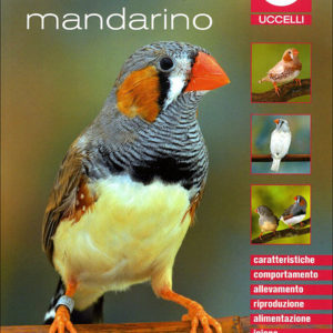 libro diamante mandarino