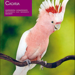 libro i cacatua de vecchi
