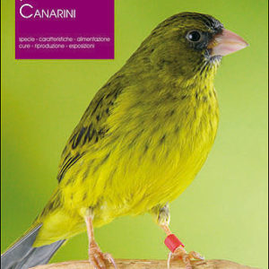 libro i canarini