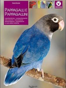 libro gli inseparabili