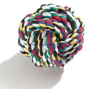 gioco palla camon per cani