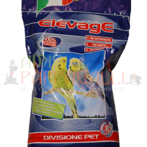 elevage cocorite basic mangime per pappagallini