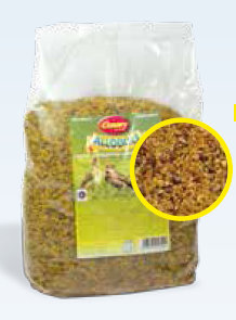 canary pastone per allodole