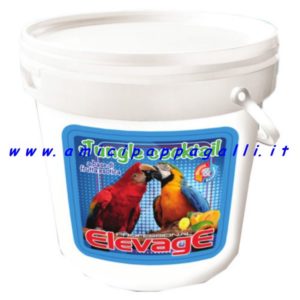 elevage jungle cocktail misto di frutta essicata per pappagalli
