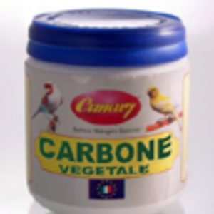 canary carbone per uccelli