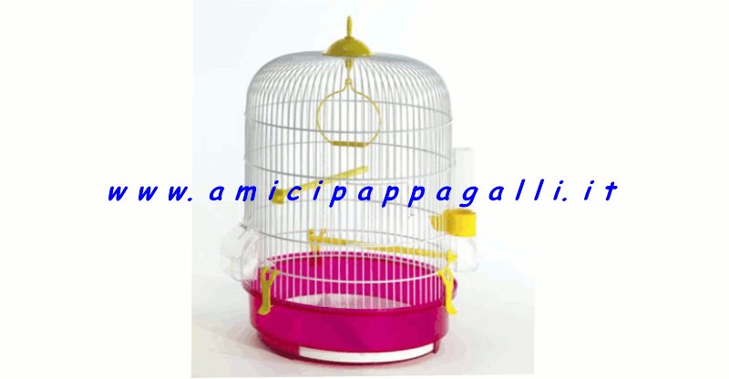 gabbie per canarini e uccelli domus molinari camelia
