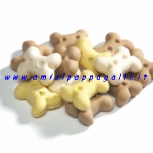 biscotti per cani formato ossicino