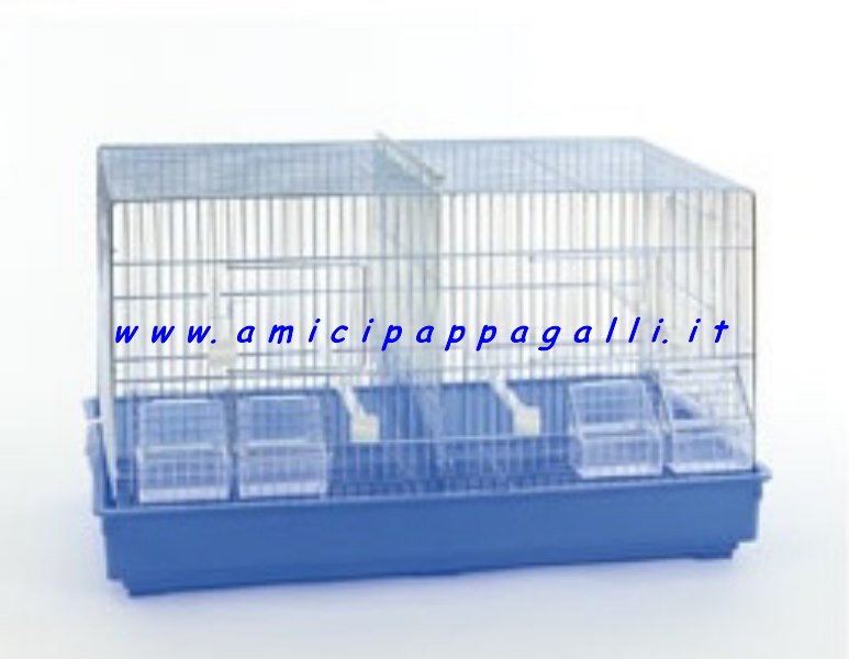 domus molinari gabbia cova3 uccelli