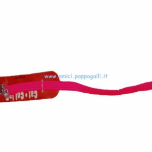 Collari e Guinzagli gatto