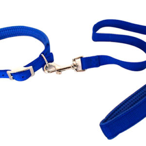 Collari e Guinzagli e Pettorine cane
