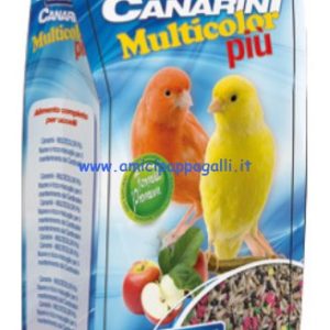 Mangime per canarini